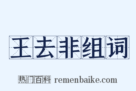 王去非组词是什么意思的图片